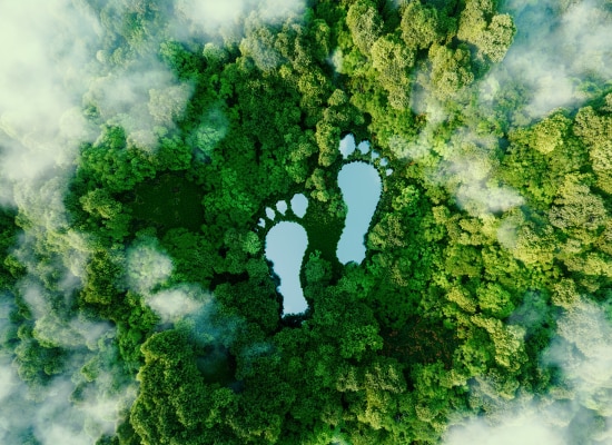 UNSER ENGAGEMENT ZUR CO2